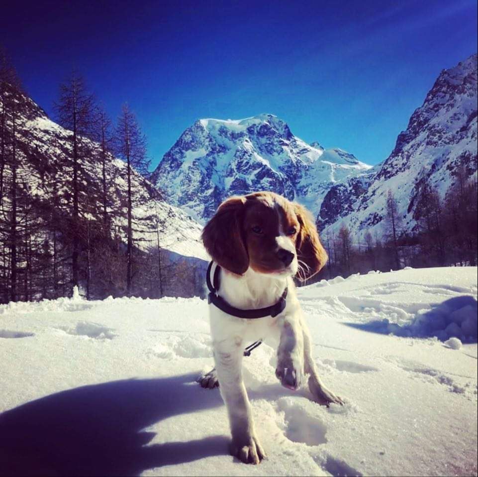 du Clos du Grand Lieu - R'Swaro découvre la neige dans le Valais en Suisse 