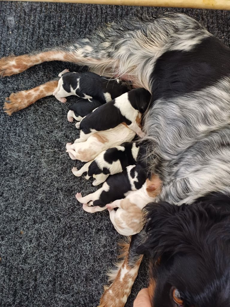 du Clos du Grand Lieu - Les bébés sont arrivés !