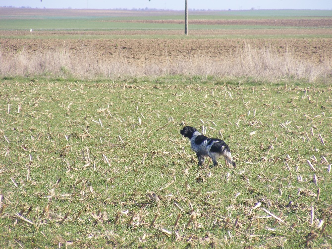 du Clos du Grand Lieu - hipso en beauce