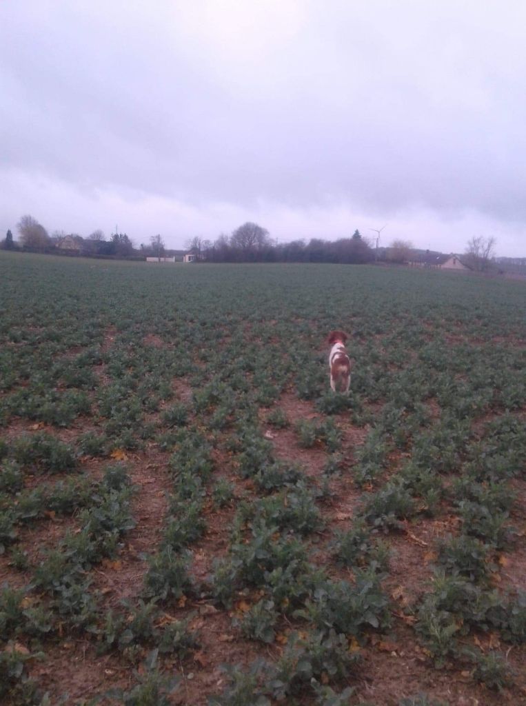 du Clos du Grand Lieu - Mona est championne de printemps 