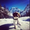  - R'Swaro découvre la neige dans le Valais en Suisse 