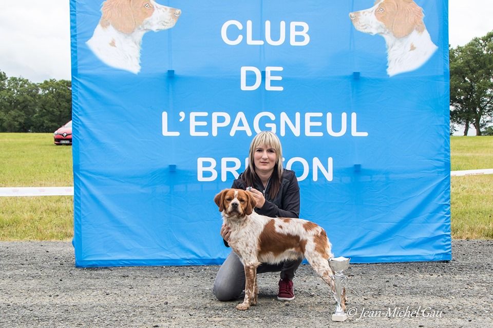 du Clos du Grand Lieu - Obi meilleur puppy de la national d?élevage 2019