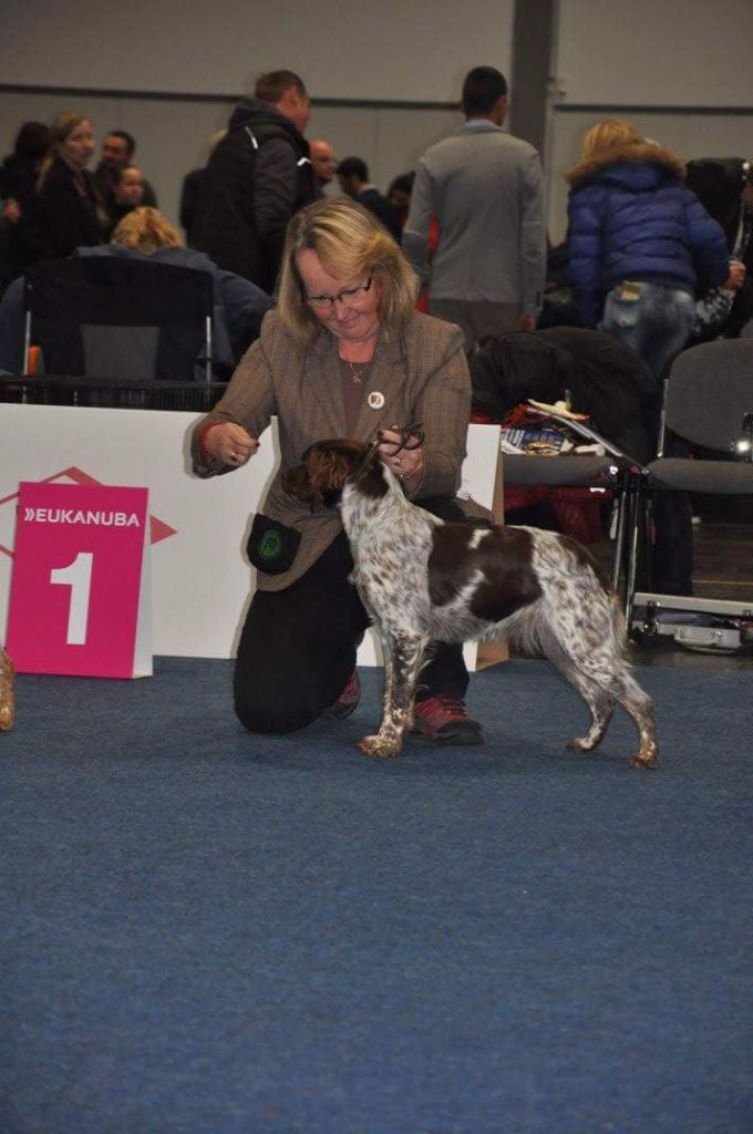 du Clos du Grand Lieu - Herta eirams kennel