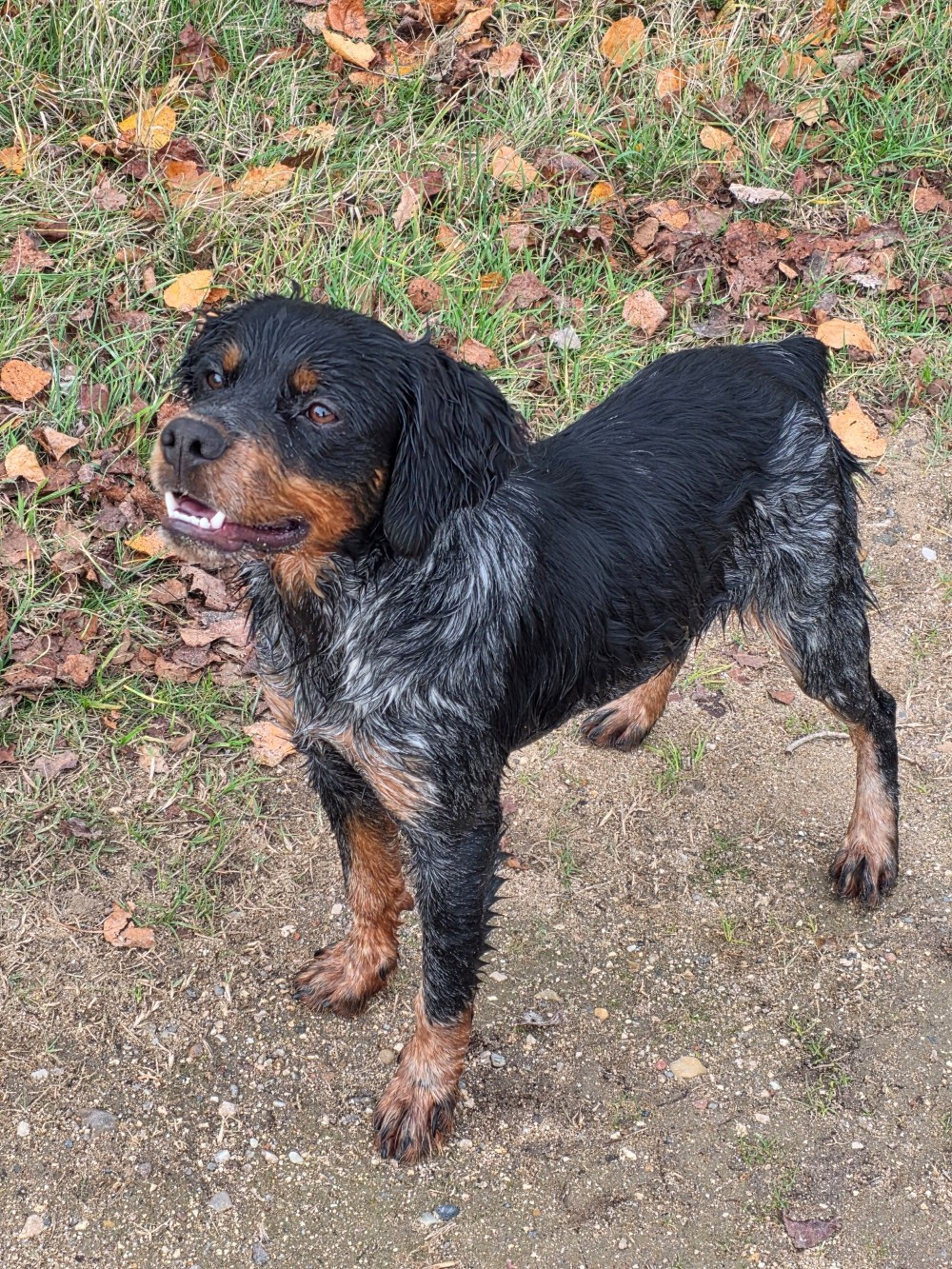 Athos du Clos du Grand Lieu