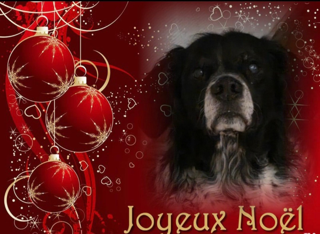 du Clos du Grand Lieu - Joyeux Noël