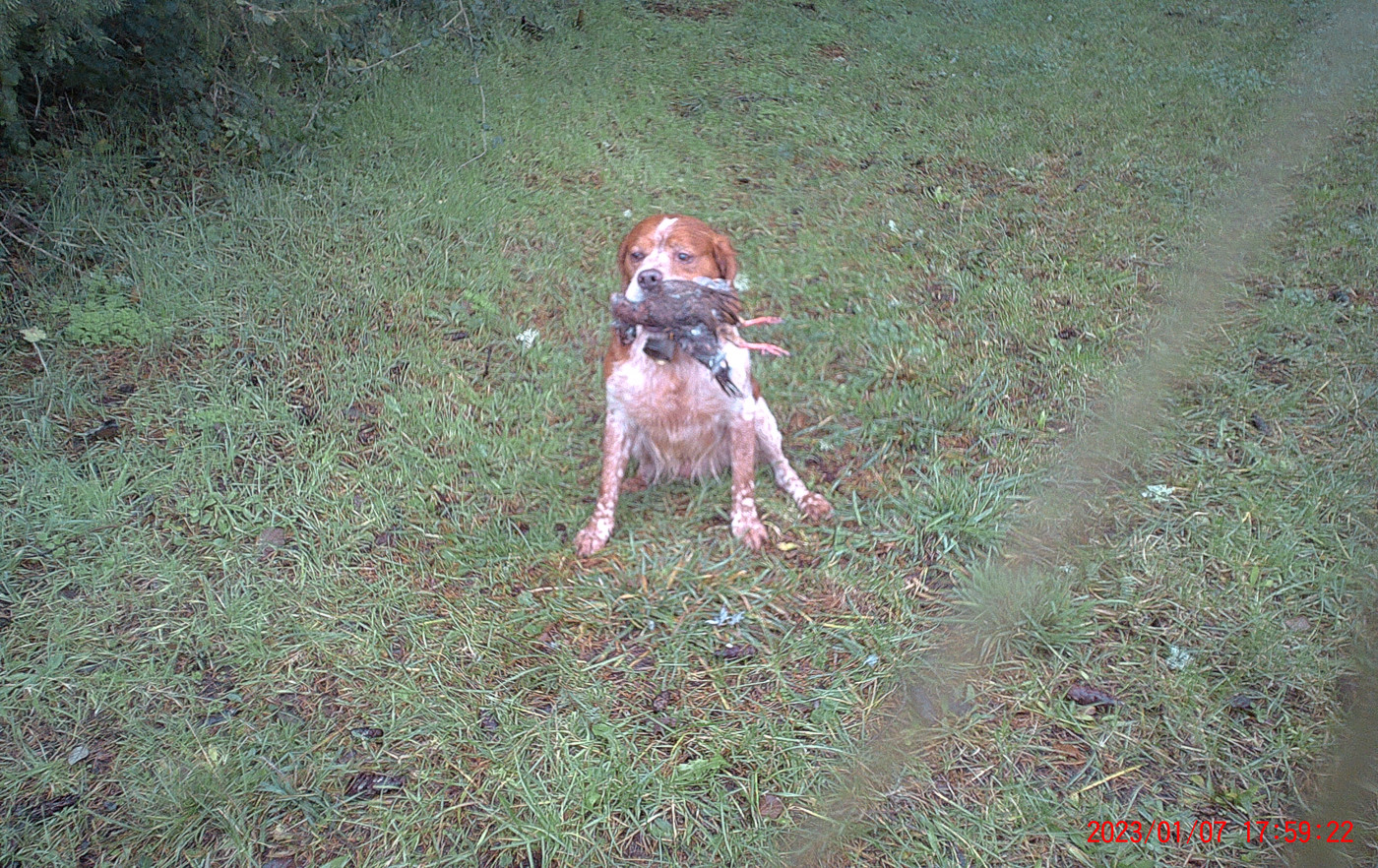 Obi content de son travail