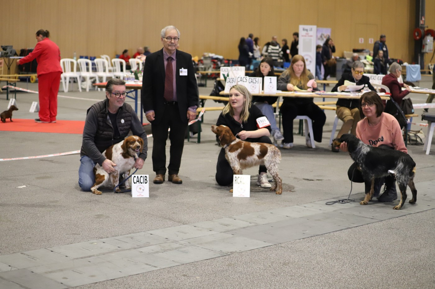 Exposition canine spéciale de race Lyon