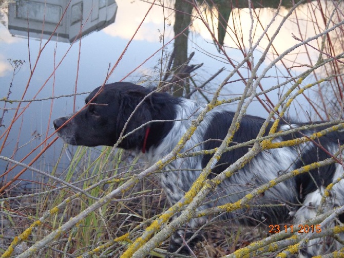 du Clos du Grand Lieu - chasse , chasse chasse 