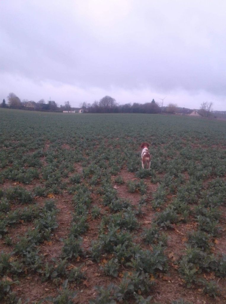 du Clos du Grand Lieu - Mona est championne de printemps