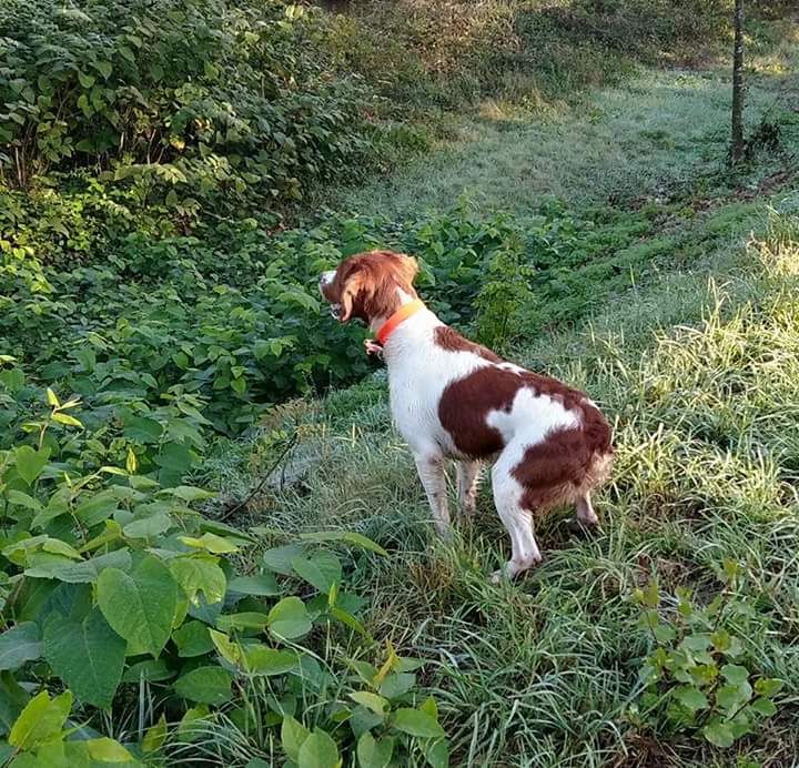 du Clos du Grand Lieu - Saison de printemps fini pour Mona bilan