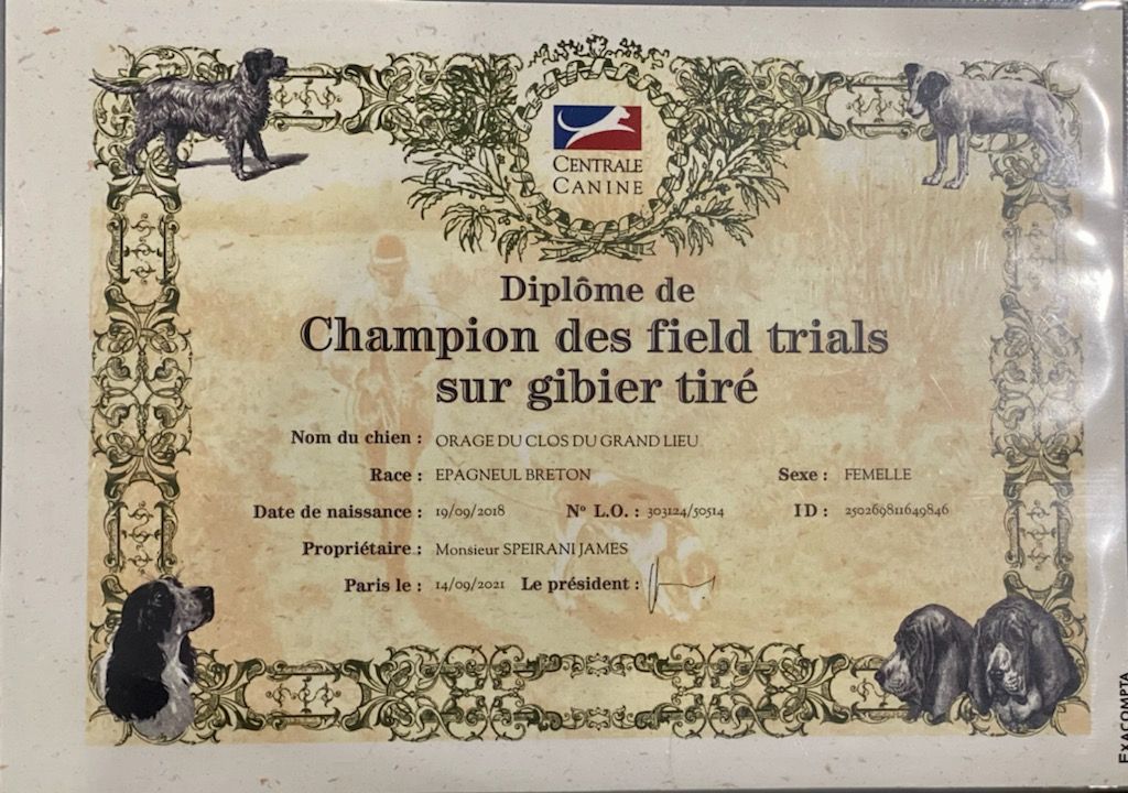 du Clos du Grand Lieu - Le diplôme à Orage 