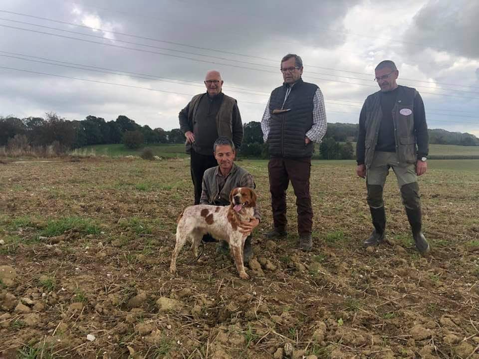 du Clos du Grand Lieu - Cacit pour Obi 